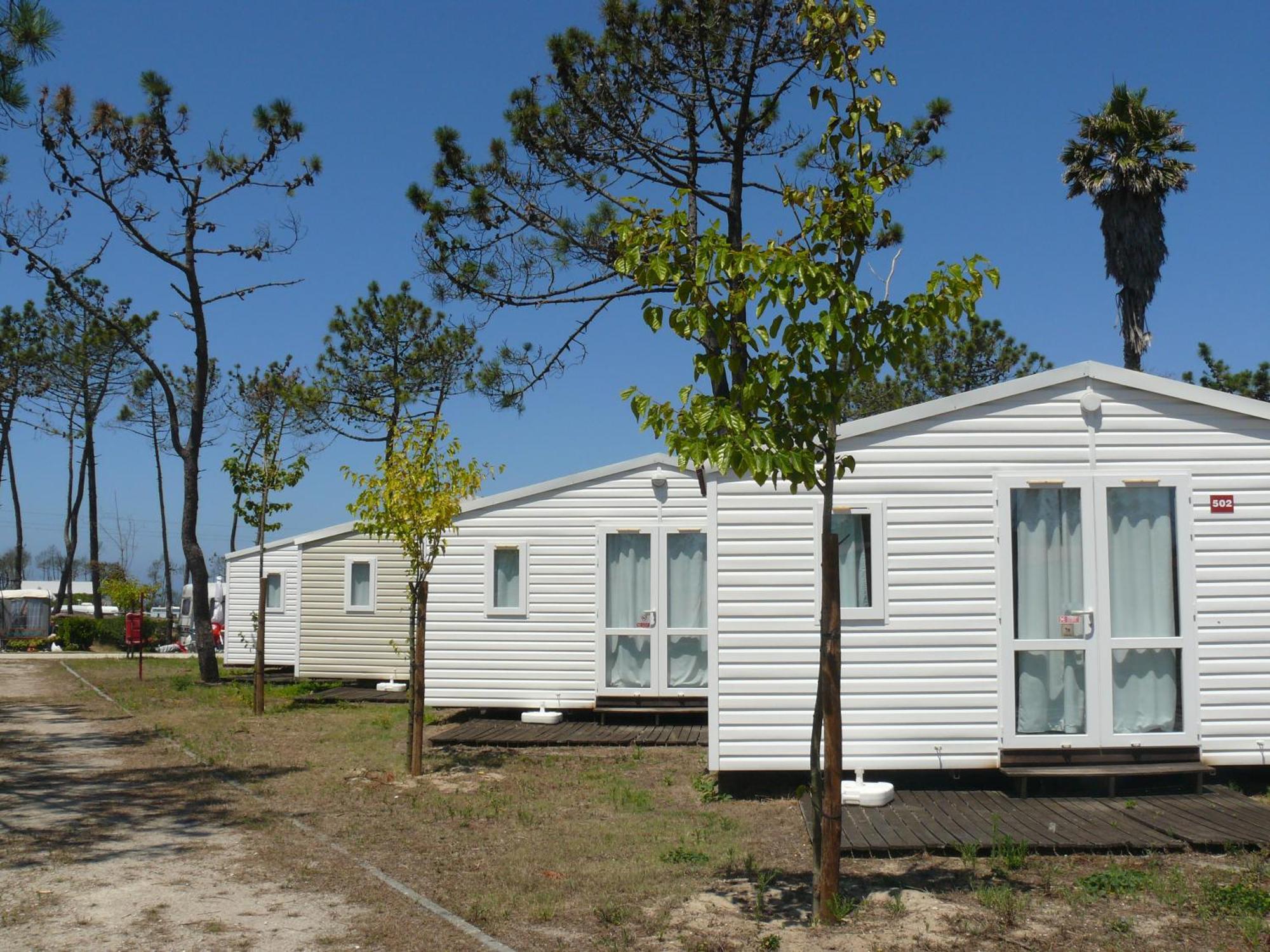 Parque De Campismo Orbitur Gala Ξενοδοχείο Figueira da Foz Εξωτερικό φωτογραφία