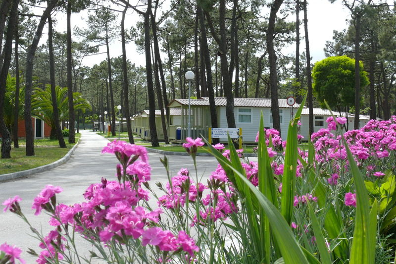 Parque De Campismo Orbitur Gala Ξενοδοχείο Figueira da Foz Εξωτερικό φωτογραφία